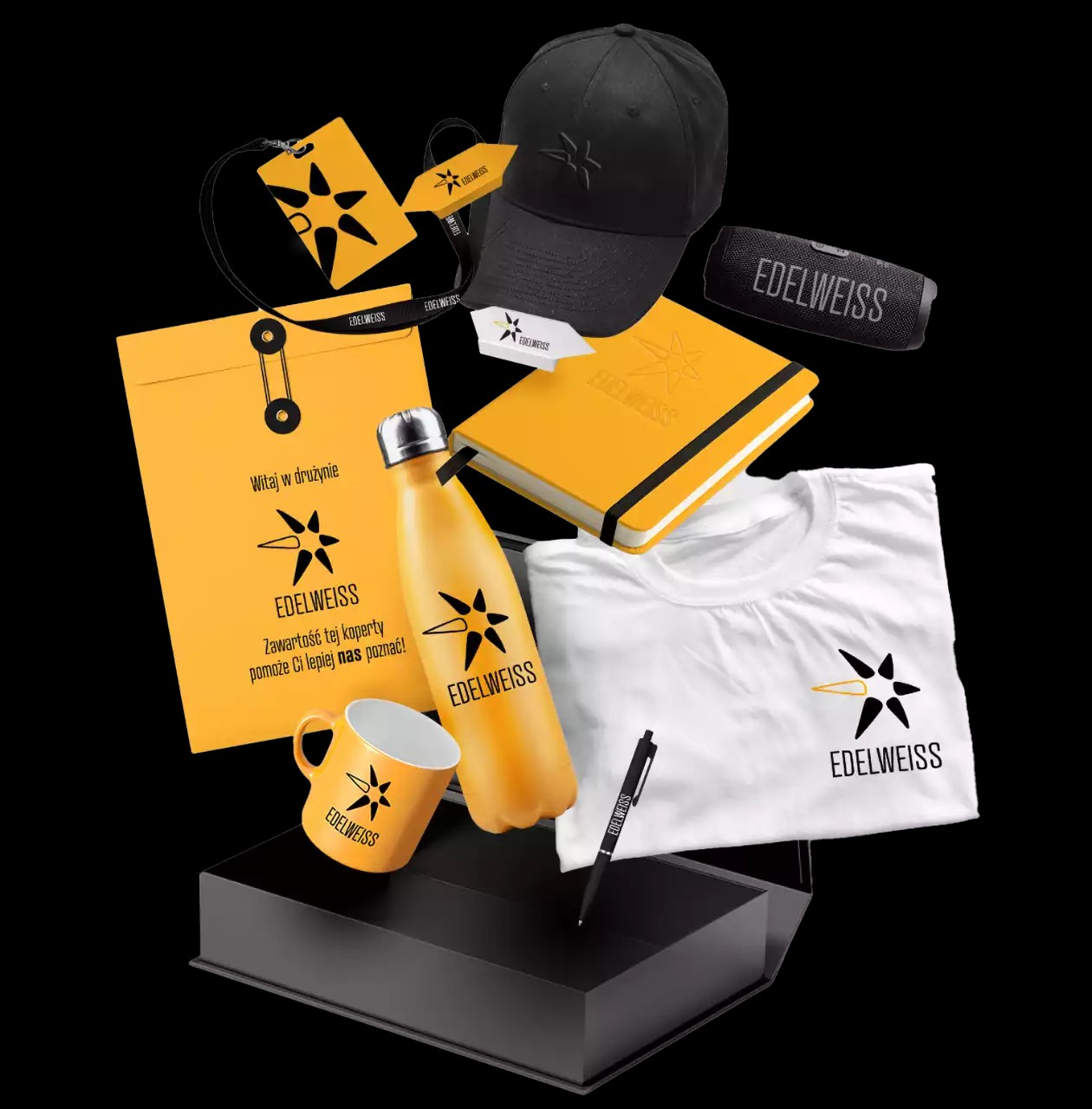portfolio-agencja-landing-page.png